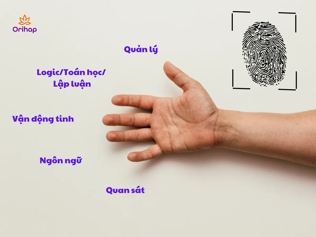 Các chức năng não bộ trên tay phải