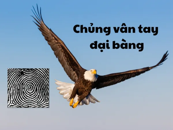 Chủng vân tay đại bàng có những đặc điểm gì?