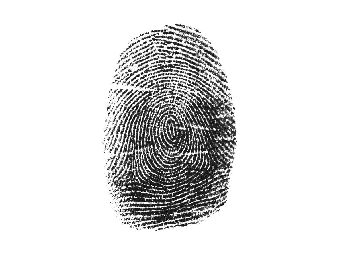 Mẫu chủng vân tay Whorl.