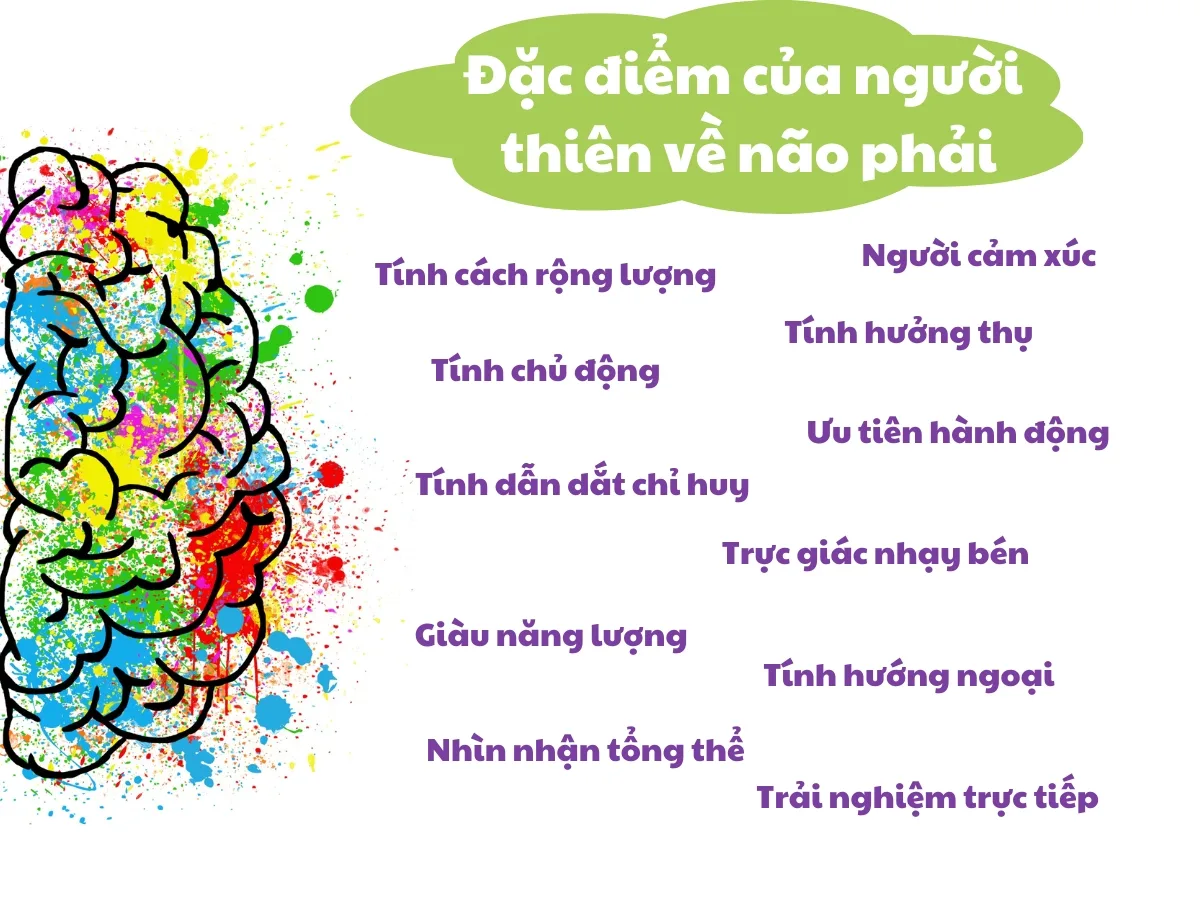 Người thiên về não phải có những tính cách và đặc điểm gì?