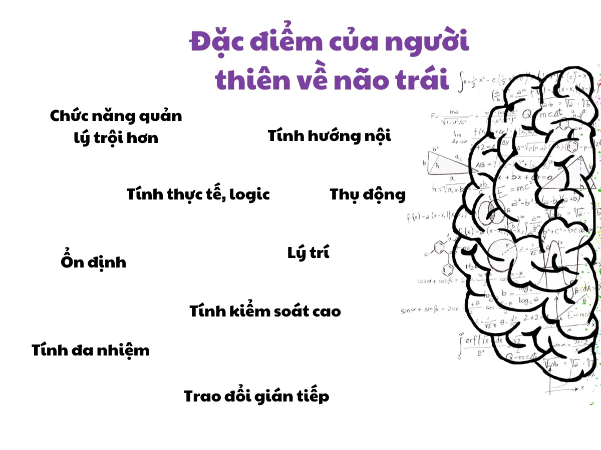 Người thiên về não trái có những tính cách và đặc điểm gì?