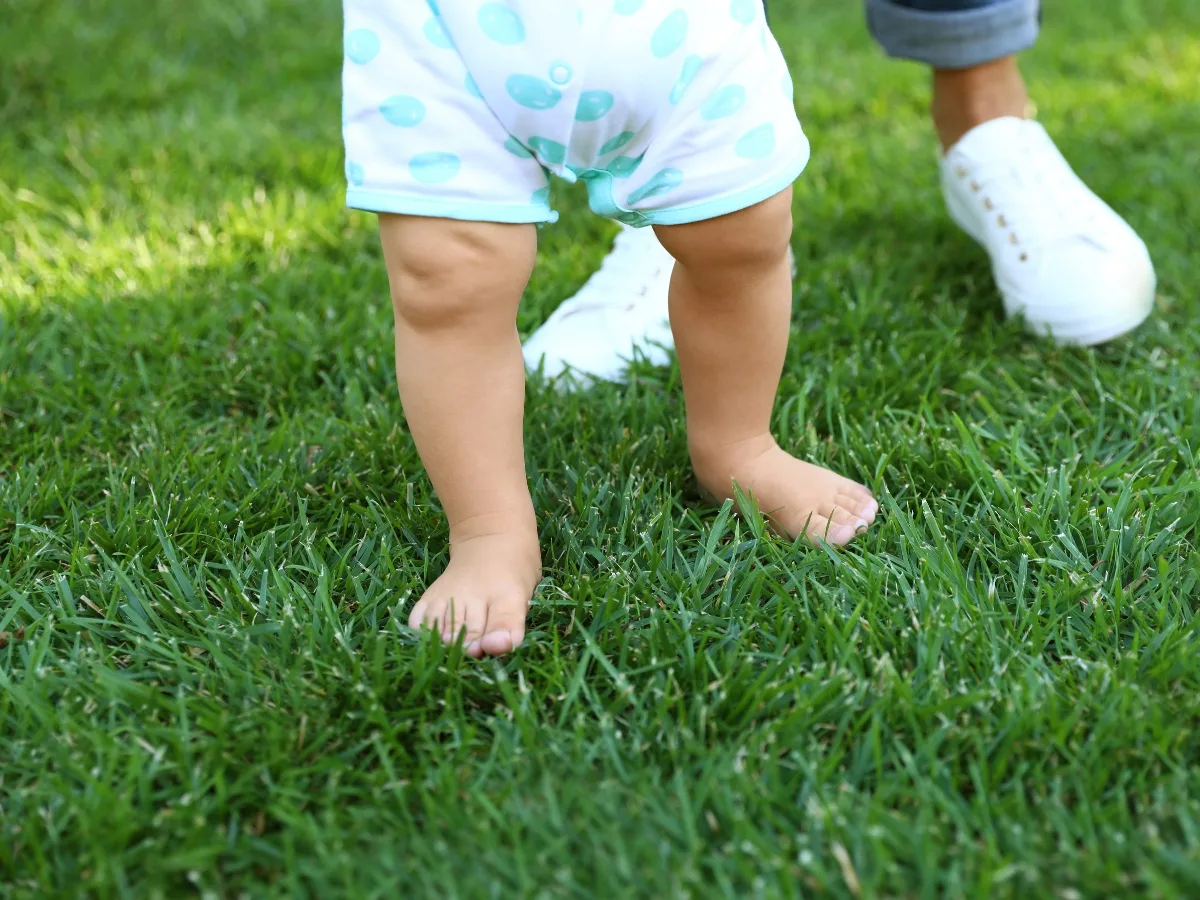 Dạy bé tập đi không đúng cách sẽ dẫn tới sự phát triển sai lệch của xương chân.