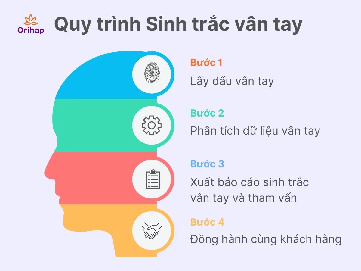 Quy trình dịch vụ sinh trắc vân tay