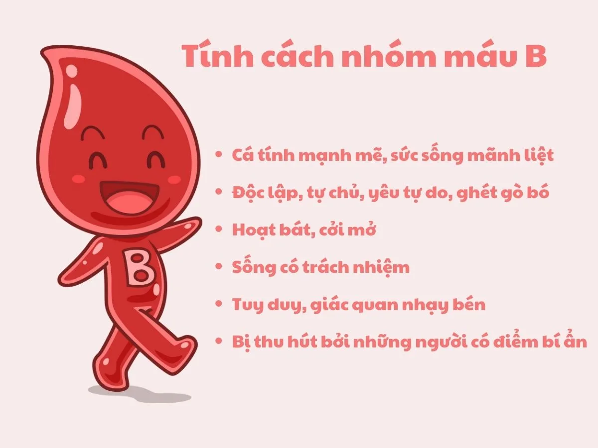 Nhóm máu B mong muốn một cuộc sống thỏa mái, vui vẻ.