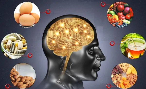  Chế độ ăn uống lành mạnh giúp thuỳ thái dương hoạt động tốt
