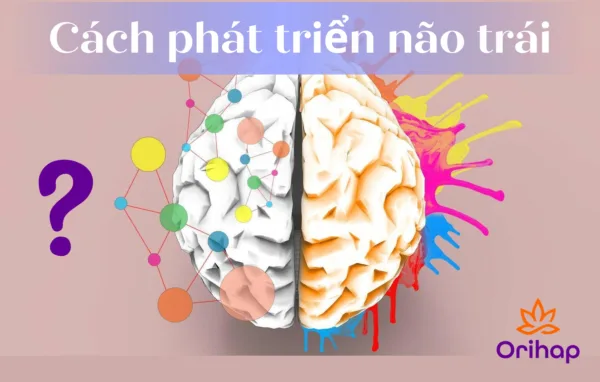 Khám phá những cách phát triển não trái hiệu quả