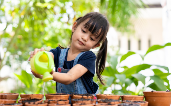 Người có trí thông minh tự nhiên thích chăm sóc cây trồng, vật nuôi 