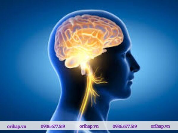 Não ở người ADHD có nhiều điểm bất thường so với người bình thường