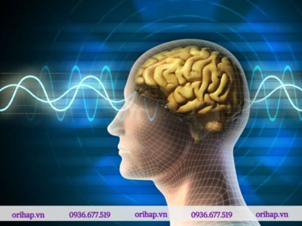 Người mắc PTSD có những khác biệt về cấu trúc não bộ so với người bình thường