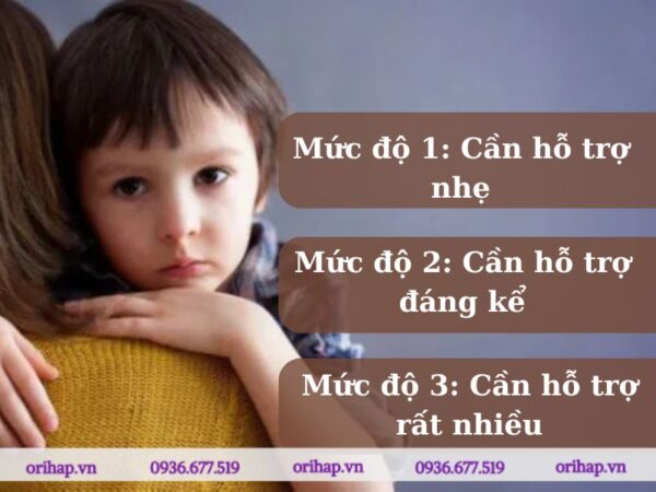 Các mức độ của rối loạn phổ tự kỷ