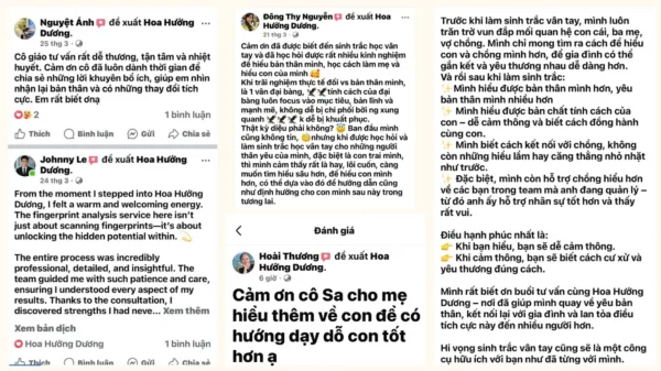 Hoa Hướng Dương - Thành viên nổi bật trong gia đình Orihap