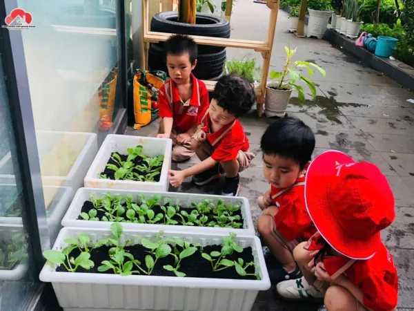 Sự kiện đặc biệt: "Sinh trắc vân tay - Thấu hiểu tính cách con yêu" tại Kindy Garden