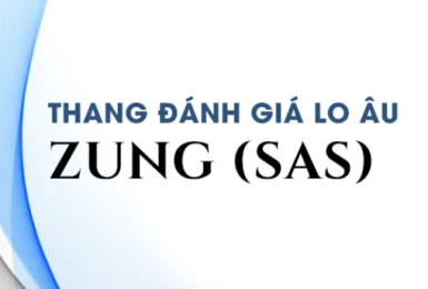 Công cụ đánh giá lo âu theo thang đánh giá lo âu ZUNG (SAS) miễn phí